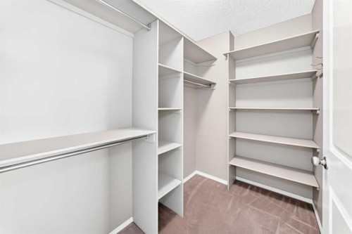 16 Royal Birch Rise Nw, Calgary, AB - Indoor With Storage