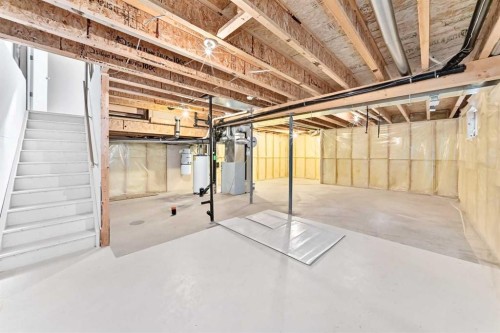 16 Royal Birch Rise Nw, Calgary, AB - Indoor Photo Showing Basement