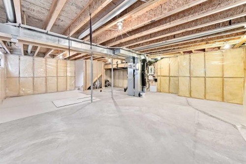 16 Royal Birch Rise Nw, Calgary, AB - Indoor Photo Showing Basement