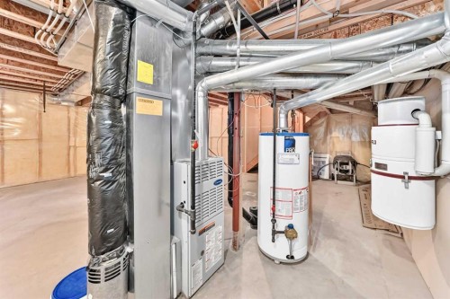 16 Royal Birch Rise Nw, Calgary, AB - Indoor Photo Showing Basement