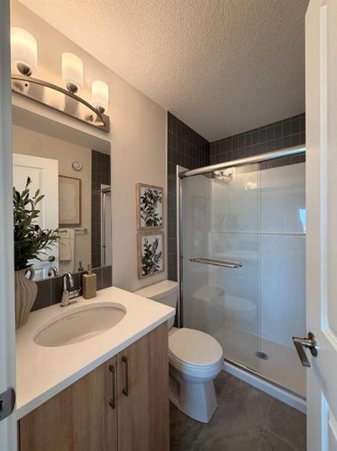 205-4115 206 Avenue Se, Calgary, AB - Indoor Photo Showing Bathroom