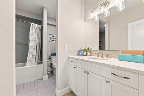 41 Whispering Springs Way, Heritage Pointe, AB - Indoor Photo Showing Bathroom