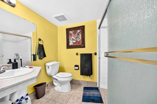 101-300 Meredith Road Ne, Calgary, AB - Indoor Photo Showing Bathroom