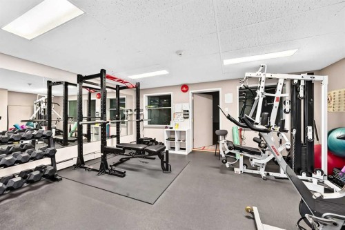 101-300 Meredith Road Ne, Calgary, AB - Indoor Photo Showing Gym Room