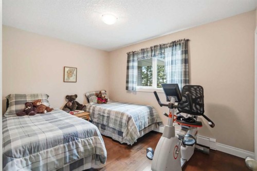 282184 Range Road 31, Rural Rocky View County, AB - Indoor Photo Showing Bedroom