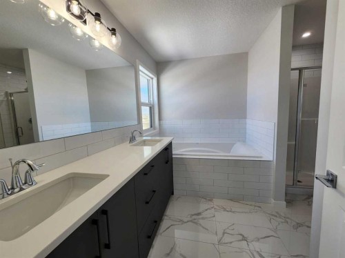 364 Herron Landing Ne, Calgary, AB - Indoor Photo Showing Bathroom