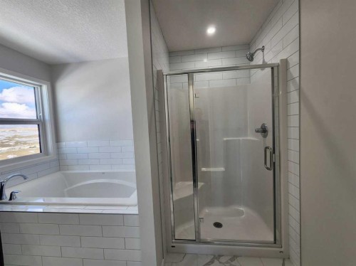 364 Herron Landing Ne, Calgary, AB - Indoor Photo Showing Bathroom