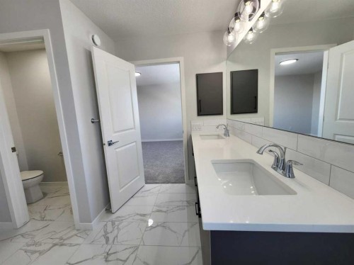 364 Herron Landing Ne, Calgary, AB - Indoor Photo Showing Bathroom