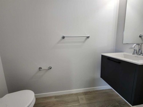 364 Herron Landing Ne, Calgary, AB - Indoor Photo Showing Bathroom