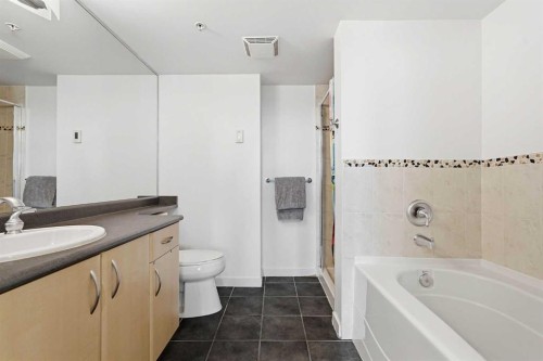 305-1078 6 Avenue Sw, Calgary, AB - Indoor Photo Showing Bathroom