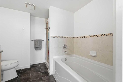 305-1078 6 Avenue Sw, Calgary, AB - Indoor Photo Showing Bathroom
