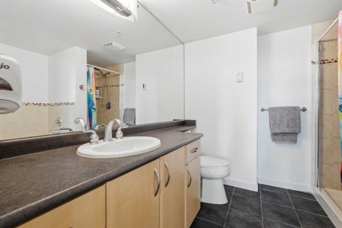 305-1078 6 Avenue Sw, Calgary, AB - Indoor Photo Showing Bathroom