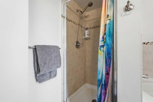 305-1078 6 Avenue Sw, Calgary, AB - Indoor Photo Showing Bathroom