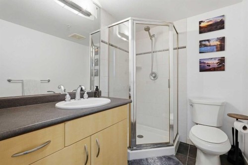 305-1078 6 Avenue Sw, Calgary, AB - Indoor Photo Showing Bathroom