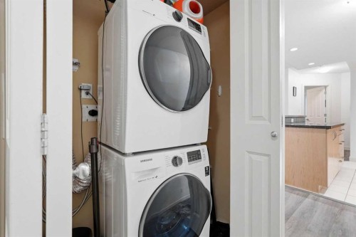 305-1078 6 Avenue Sw, Calgary, AB - Indoor Photo Showing Laundry Room