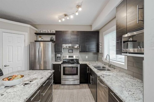 260 Chaparral Ridge Circle Se, Calgary, AB - Indoor Photo Showing Kitchen With Stainless Steel Kitchen With Double Sink With Upgraded Kitchen