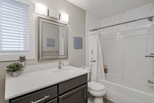 260 Chaparral Ridge Circle Se, Calgary, AB - Indoor Photo Showing Bathroom