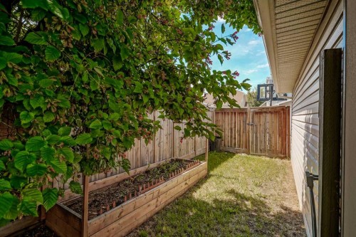 260 Chaparral Ridge Circle Se, Calgary, AB - Outdoor