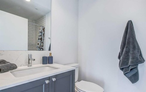 317R-327 9A Street Nw, Calgary, AB - Indoor Photo Showing Bathroom