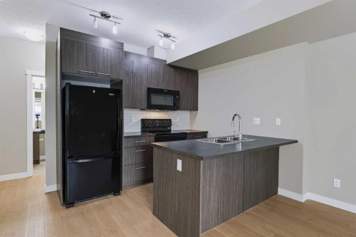 210-300 Marina Drive, Chestermere, AB - Indoor Photo Showing Kitchen With Double Sink