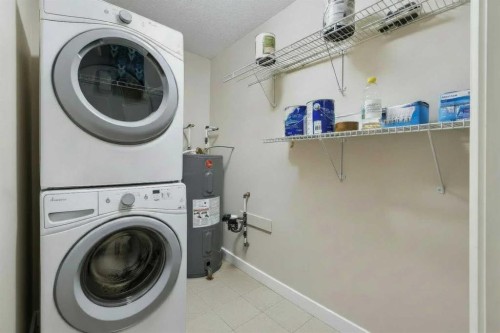 210-300 Marina Drive, Chestermere, AB - Indoor Photo Showing Laundry Room