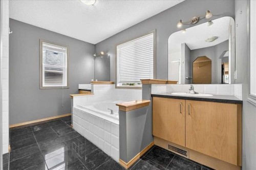 177 Royal Birch Terrace Nw, Calgary, AB - Indoor Photo Showing Bathroom