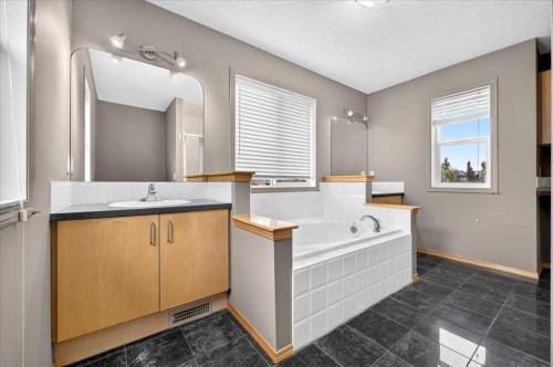 177 Royal Birch Terrace Nw, Calgary, AB - Indoor Photo Showing Bathroom