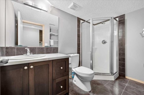 177 Royal Birch Terrace Nw, Calgary, AB - Indoor Photo Showing Bathroom