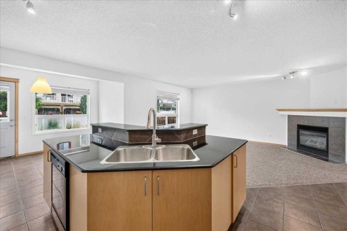 177 Royal Birch Terrace Nw, Calgary, AB - Indoor Photo Showing Kitchen With Fireplace With Double Sink