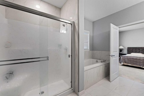 188 Savanna Grove Ne, Calgary, AB - Indoor Photo Showing Bathroom