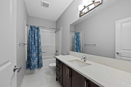 188 Savanna Grove Ne, Calgary, AB - Indoor Photo Showing Bathroom