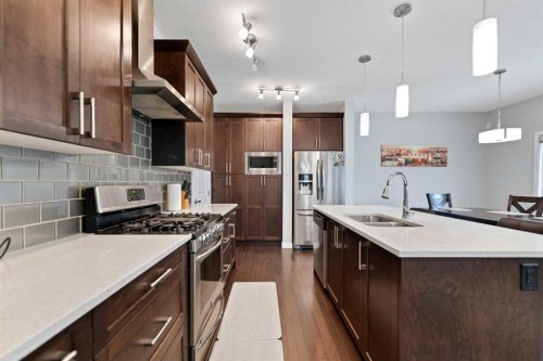 188 Savanna Grove Ne, Calgary, AB - Indoor Photo Showing Kitchen With Double Sink With Upgraded Kitchen