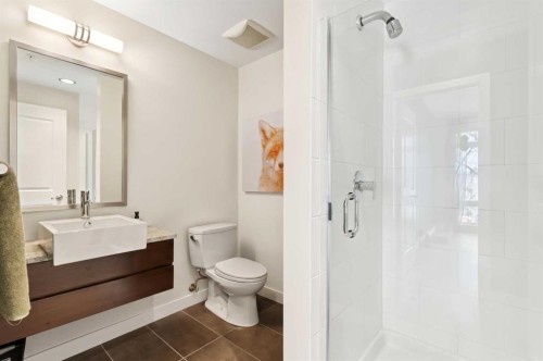 204-540 34 Street Nw, Calgary, AB - Indoor Photo Showing Bathroom