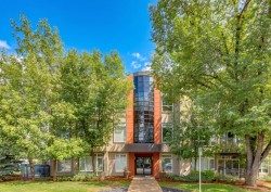 204-540 34 Street NW Calgary, AB T2N 2X7