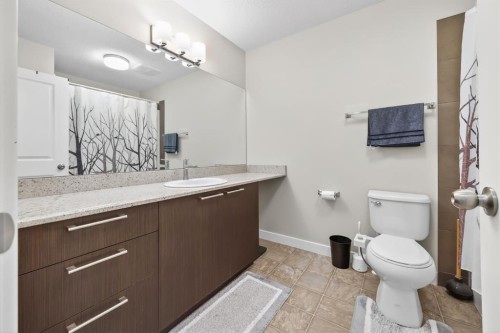 355 Silverado Common Sw, Calgary, AB - Indoor Photo Showing Bathroom
