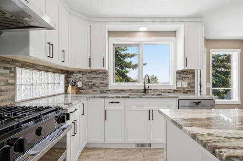 12078 Diamond View Se, Calgary, AB - Indoor Photo Showing Kitchen With Upgraded Kitchen