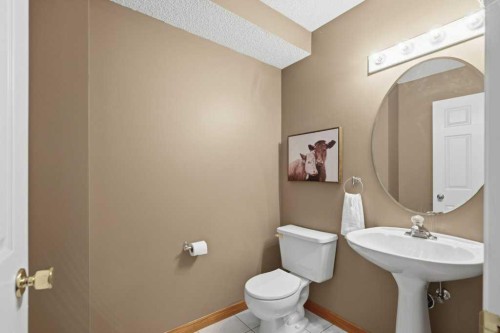 4 Inglewood Landing Se, Calgary, AB - Indoor Photo Showing Bathroom