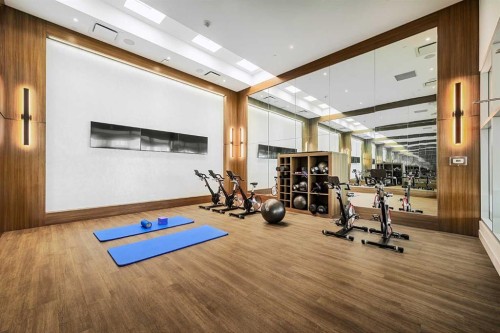 704-530 3 Street Se, Calgary, AB - Indoor Photo Showing Gym Room