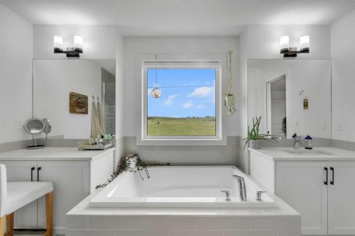 444 Lawthorn Way, Airdrie, AB - Indoor Photo Showing Bathroom