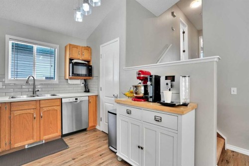 7237 Laguna Way Ne, Calgary, AB - Indoor Photo Showing Kitchen With Double Sink