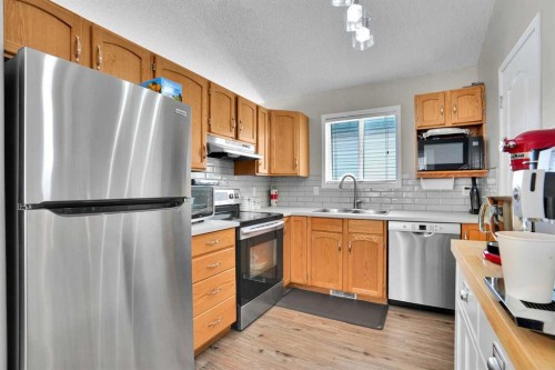 7237 Laguna Way Ne, Calgary, AB - Indoor Photo Showing Kitchen With Stainless Steel Kitchen With Double Sink