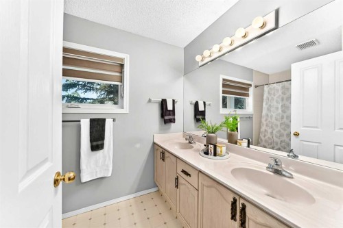76-388 Sandarac Drive Nw, Calgary, AB - Indoor Photo Showing Bathroom