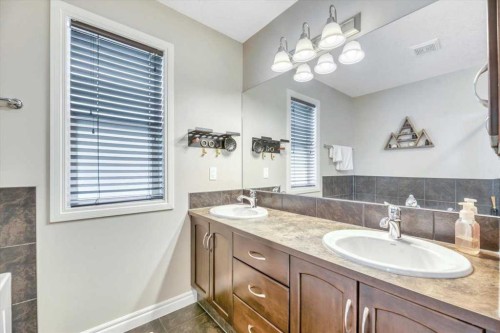 13 Cranberry Avenue Se, Calgary, AB - Indoor Photo Showing Bathroom