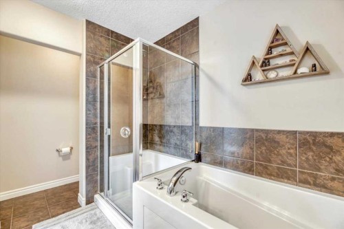 13 Cranberry Avenue Se, Calgary, AB - Indoor Photo Showing Bathroom
