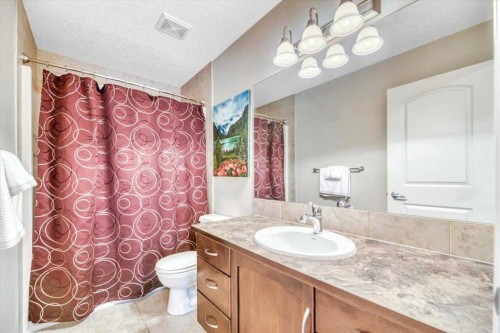 13 Cranberry Avenue Se, Calgary, AB - Indoor Photo Showing Bathroom