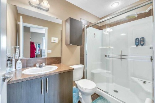 331 Ranch Ridge Meadow, Strathmore, AB - Indoor Photo Showing Bathroom