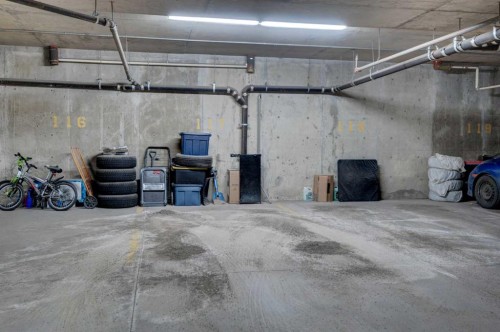 1203-211 Aspen Stone Boulevard Sw, Calgary, AB - Indoor Photo Showing Garage