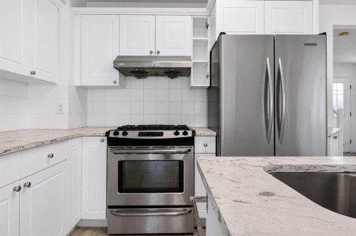 133 Martinvalley Crescent Ne, Calgary, AB - Indoor Photo Showing Kitchen With Upgraded Kitchen