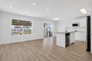 133 Martinvalley Crescent Ne, Calgary, AB  - Indoor Photo Showing Kitchen 