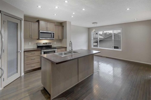 36 Copperstone Court Se, Calgary, AB - Indoor Photo Showing Kitchen With Double Sink With Upgraded Kitchen